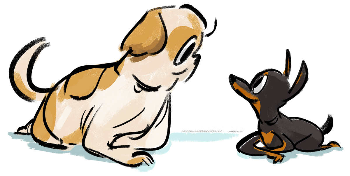 Chew Chew and Chico